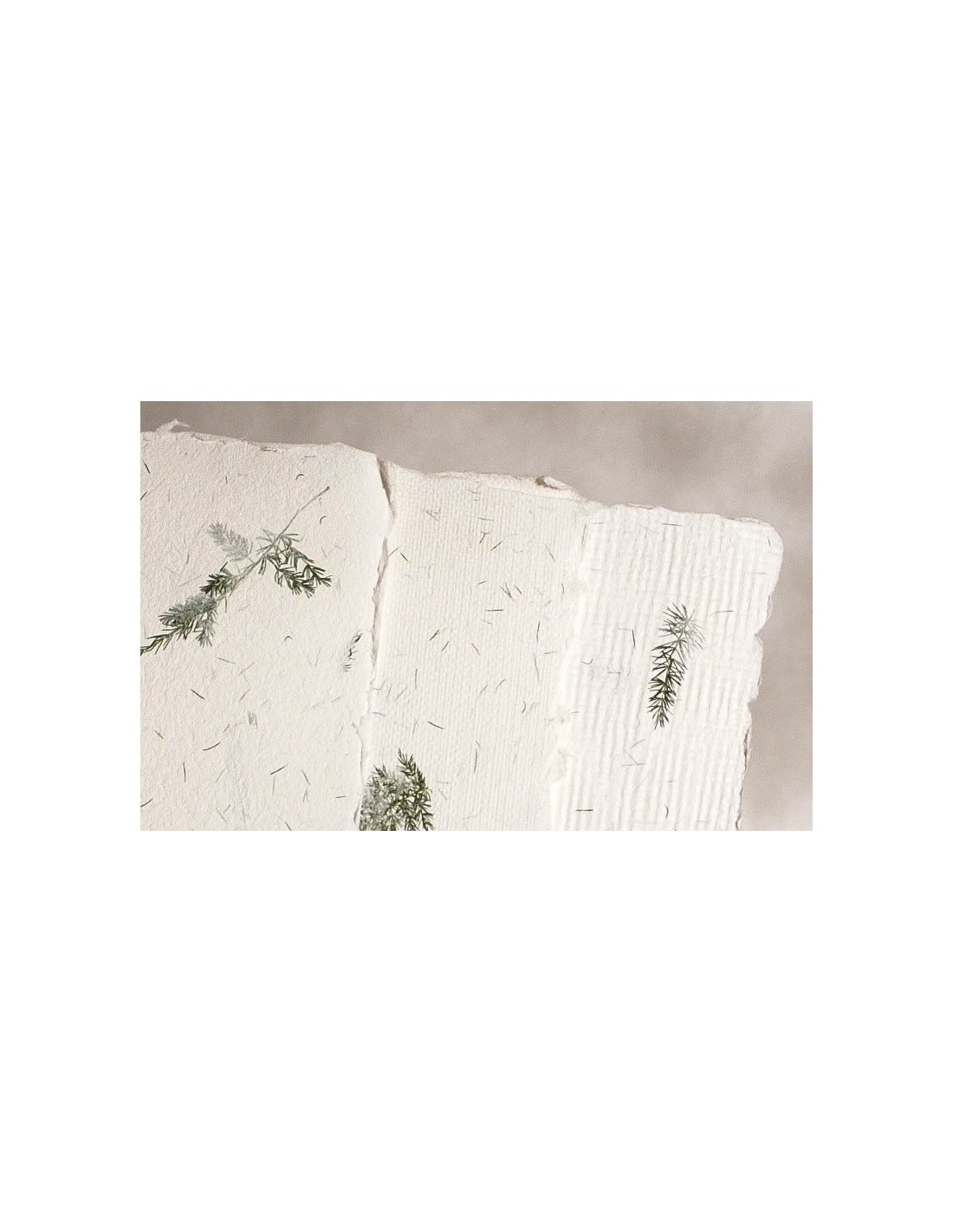 Papier czerpany kwiatowy - asparagus 5A4 Papier czerpany kwiatowy - asparagus 5A4
