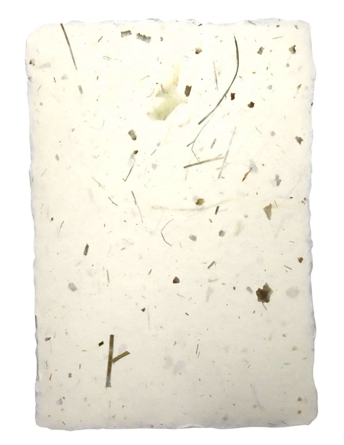 Papier ozdobny dekoracyjny czerpany kwiatowy - cebula z trawą 5A4 Papier ozdobny dekoracyjny czerpany kwiatowy - cebula z trawą 5A4
