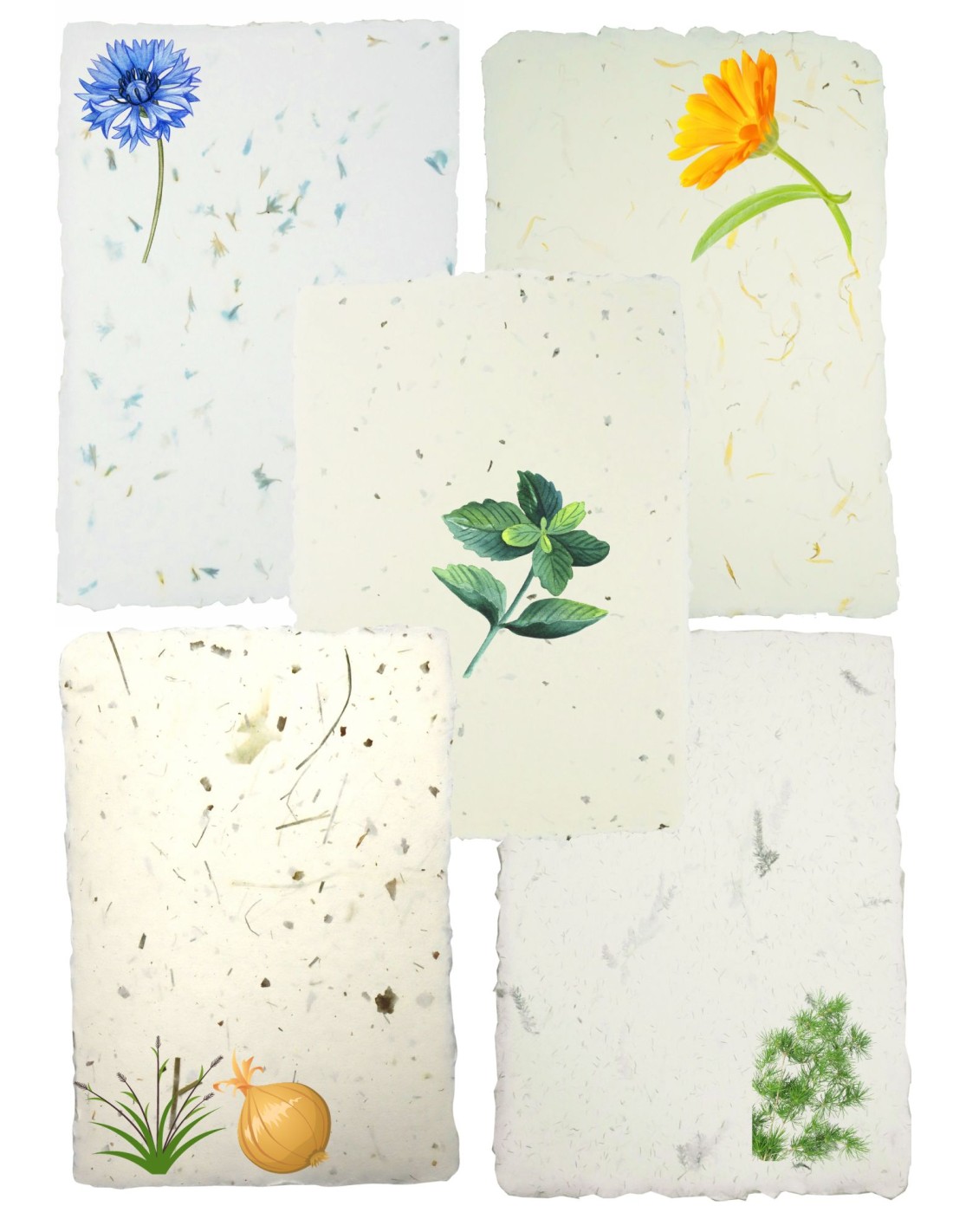 Papier ozdobny dekoracyjny czerpany kwiatowy - mix 5A4 Papier ozdobny dekoracyjny czerpany kwiatowy - mix 5A4