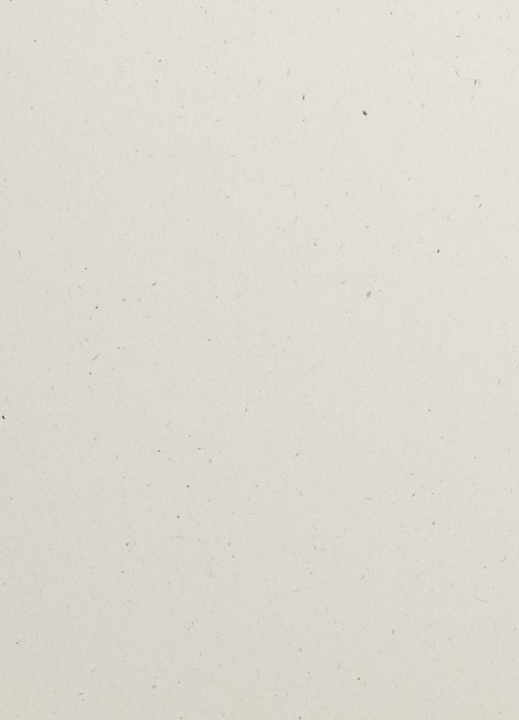 Papier ozdobny gładki kolorowy ekologiczny z wtrąceniami Flora 130g Avorio ecru 72x102 R250 Papier ozdobny gładki kolorowy ekologiczny z wtrąceniami Flora 130g Avorio ecru 72x102 R250