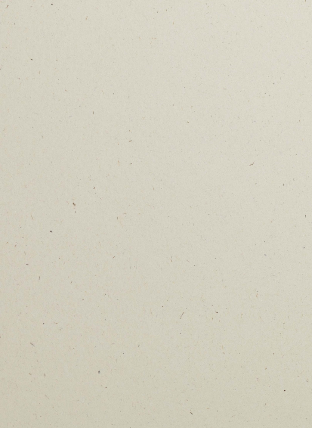 Papier ozdobny gładki kolorowy ekologiczny z wtrąceniami Flora 130g Noce beż pak. 10A4 Papier ozdobny gładki kolorowy ekologiczny z wtrąceniami Flora 130g Noce beż pak. 10A4