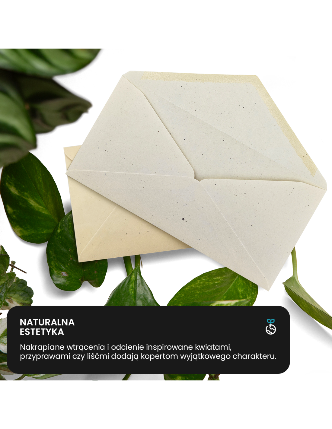 Koperta ozdobna gładka ekologiczna B6 12,5x17,5 NK Flora Avorio ecru 130g Koperta ozdobna gładka ekologiczna B6 12,5x17,5 NK Flora Avorio ecru 130g