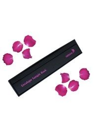 Modèle d'enveloppe décorative premium édition 2