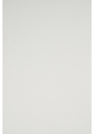 Papier ozdobny gładki kolorowy Rainbow 160g R93 jasny szary 45x64 10ark.