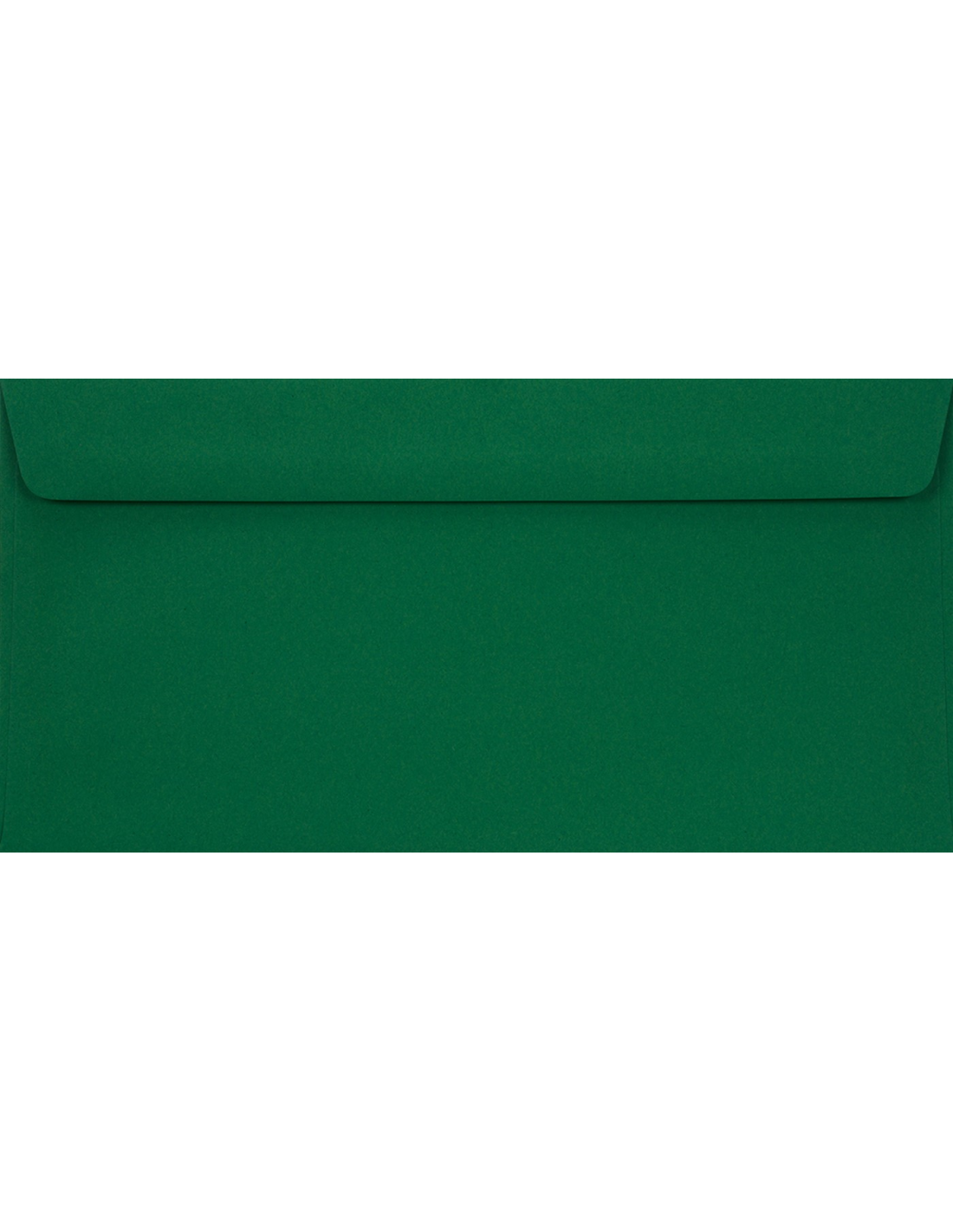 Koperta ozdobna gładka kolorowa DL 11x22 HK Sirio Color Foglia zielona 115g Koperta ozdobna gładka kolorowa DL 11x22 HK Sirio Color Foglia zielona 115g
