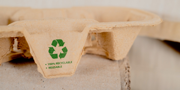 Papier vert - pourquoi investir dans des produits respectueux de l'environnement ?